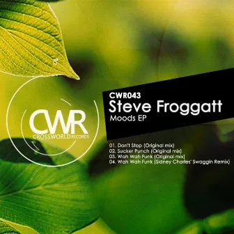 Moods EP by Steve Froggatt