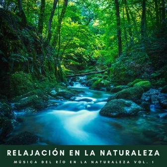 Relajación En La Naturaleza: Música Del Río En La Naturaleza Vol. 1 by 