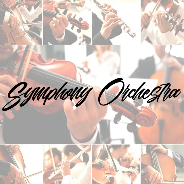 Symphony Orchestra