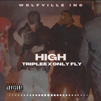 HIGH by Triple6