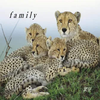 family by Shiori