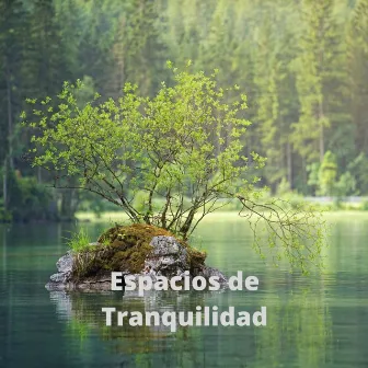 Espacios de Tranquilidad by Shamito