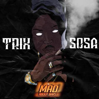 Mad About Bars by Trix Sosa