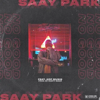 No Good by Saay Park