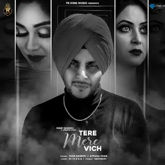 Tere Mere Vich by Mani Sandhu