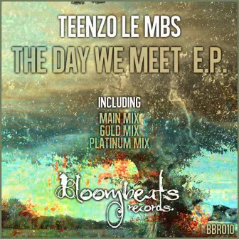 The Day We Meet by Teenzo Le MBS