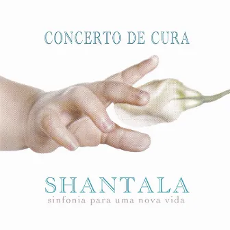 Shantala by Concerto de Cura