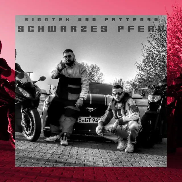 Schwarzes Pferd