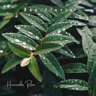 Hacienda Rain by Don Lluvia