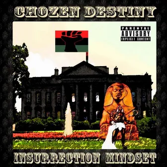 Insurrection Mindset by Chozen Destiny