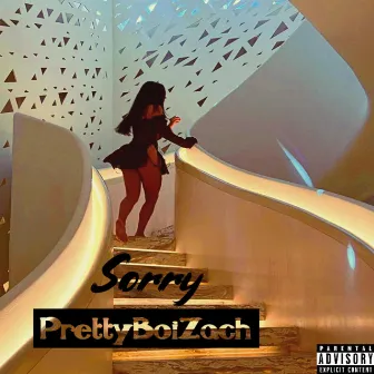 Sorry by PrettyBoiZach