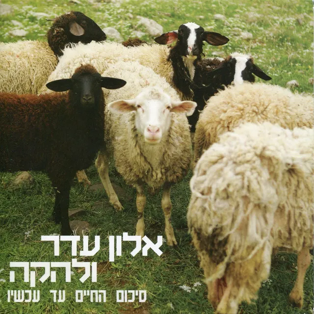 קצת אהבה לא תזיק