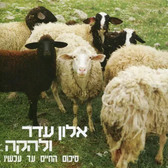 סיכום החיים עד עכשיו by Alon Eder