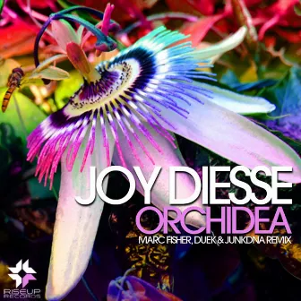 Orchidea by Joy Diesse