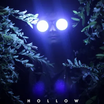 Hollow by Zoo Owl