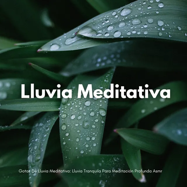 Gotas De Lluvia Meditativa: Lluvia Tranquila Para Meditación Profunda Asmr