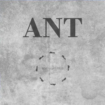 Ant by SamSam Trio