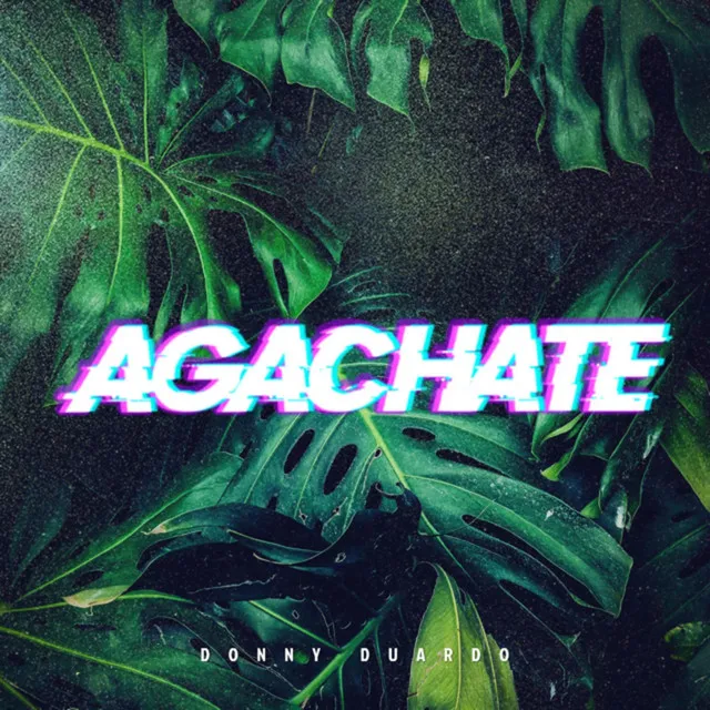 Agachate