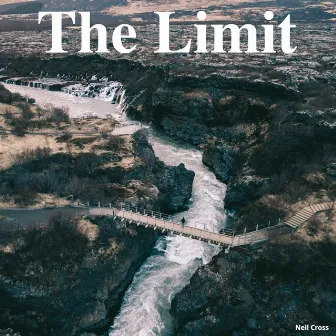 The Limit by Neil Cross