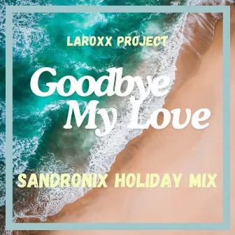 Goodbye My Love (SandroniX Holiday Mix) by Sandronix