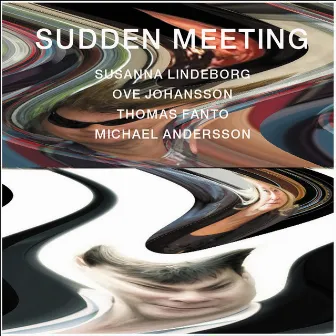 Sudden Meeting by Susanna Lindeborg