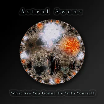 What Are You Gonna Do with Yourself by Astral Swans