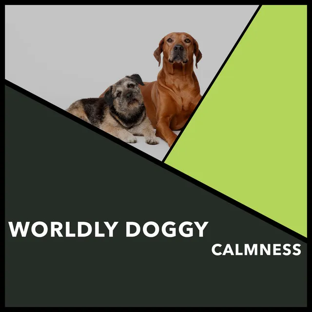 Worldly Doggy Calmness