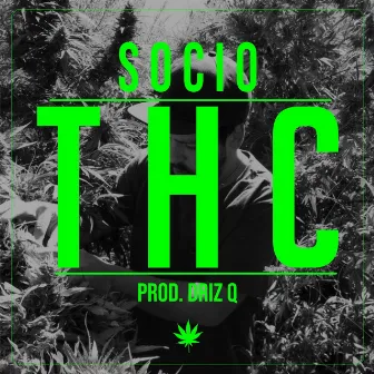 THC by Socio