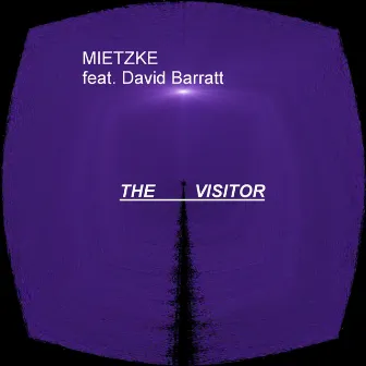 The Visitor by David Barratt