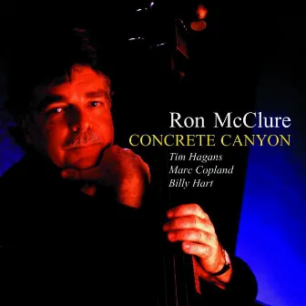 Concrete Canyon by Ron McClure