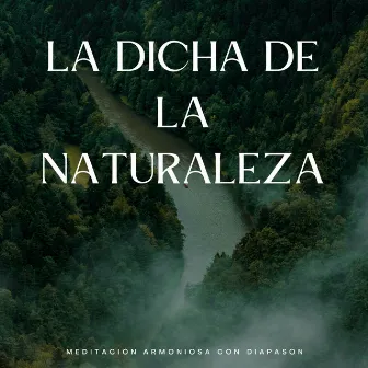 La Dicha De La Naturaleza: Meditación Armoniosa Con Diapasón by Rehabilitación de la naturaleza