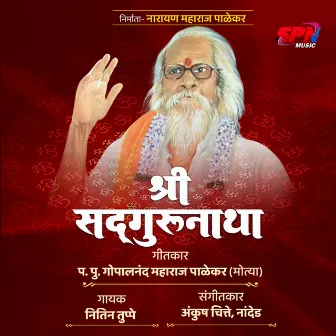 Shree Sadguru Natha by Nitin Tupe