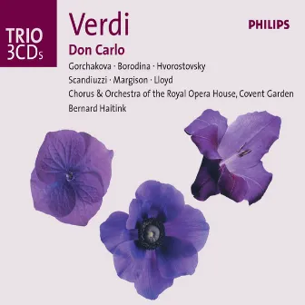 Verdi: Don Carlo by Robin Leggate