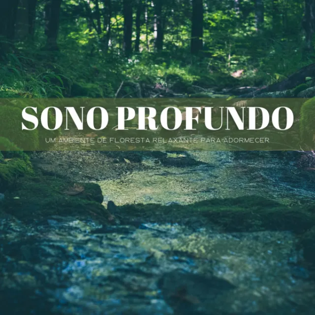 Sono Profundo: Um Ambiente De Floresta Relaxante Para Adormecer