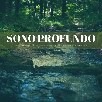 Sono Profundo: Um Ambiente De Floresta Relaxante Para Adormecer by Música Ambiental para Cafés