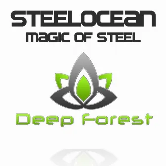 Magic Of Steel by Steelocean