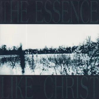 Like Christ by The Essence