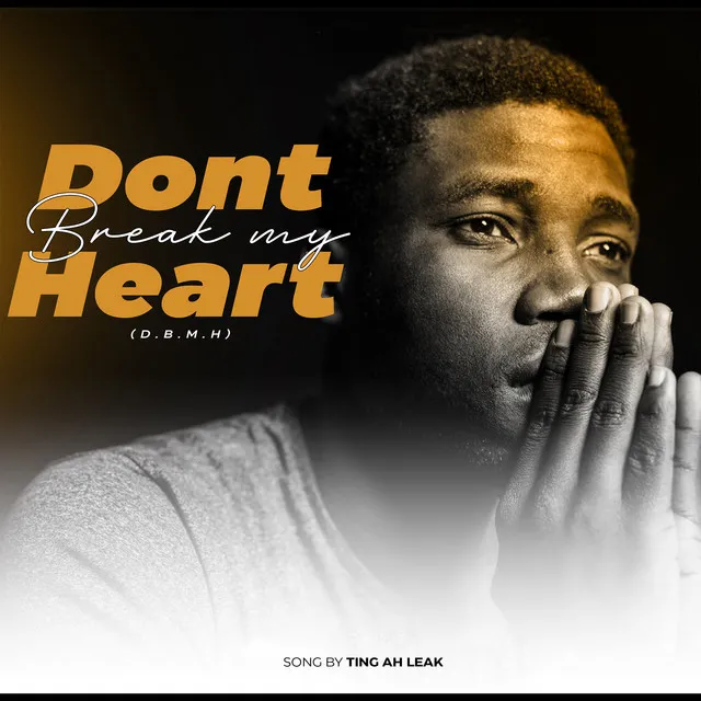 Don't Break My Heart (DBMH)