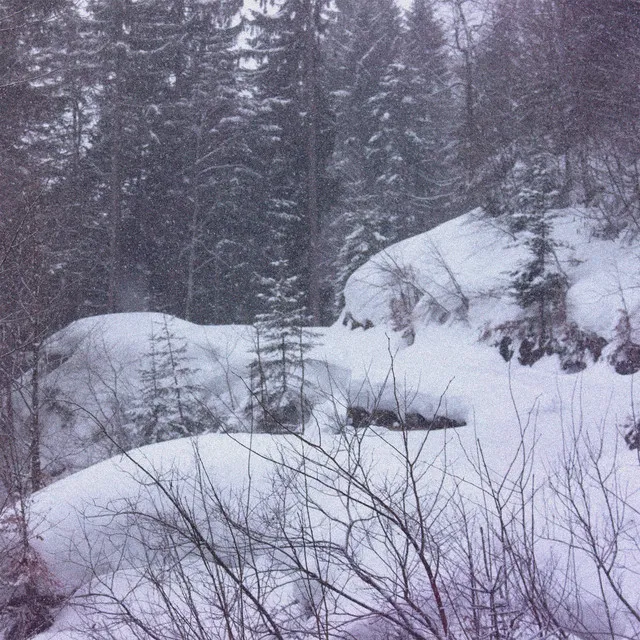 The Frozen Trail