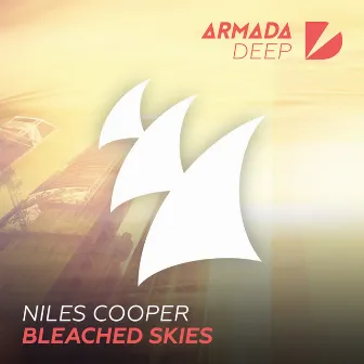 Bleached Skies by Niles Cooper