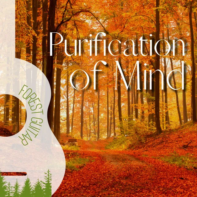 Soothing Relaxation Acoustic Guitar in Nature