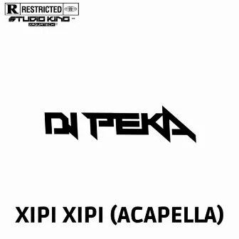 Xipi (Accapella) by STUDIO KiNO