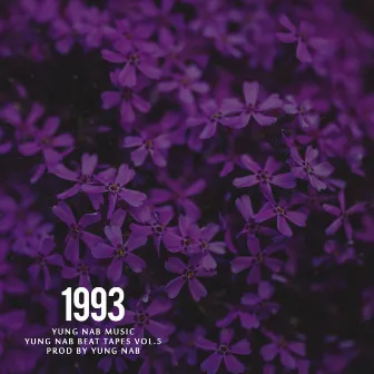 1993 by Yung Nab