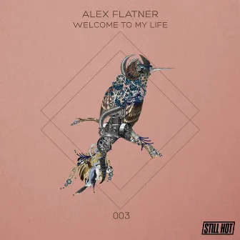 Welcome To My Life by Alex Flatner