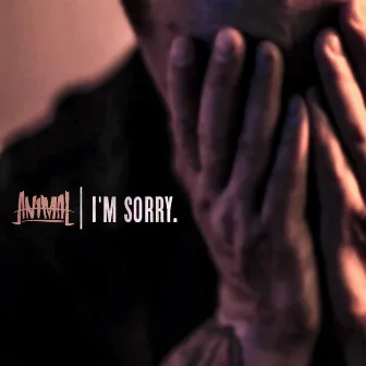 I'm Sorry. by Animal