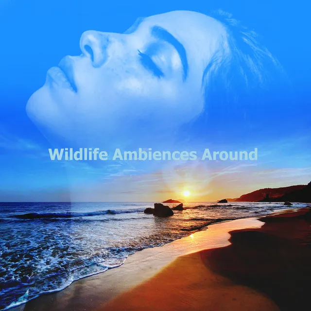 Wildlife Ambiences Around