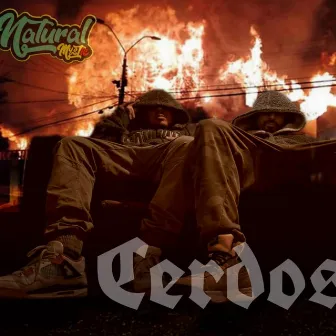 Cerdos by Natural Mystic