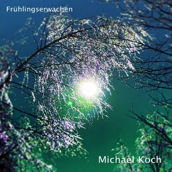 Frühlingserwachen by Michael Koch