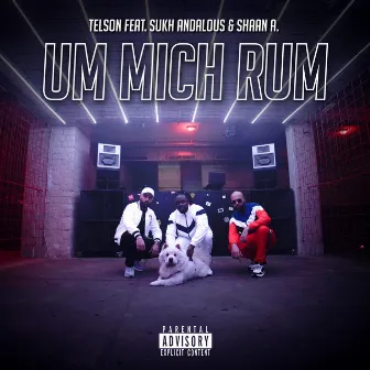 Um mich rum by Telson