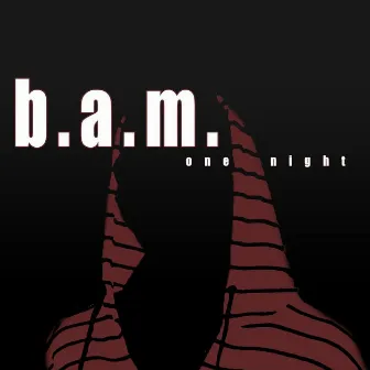 One Night by B.A.M.